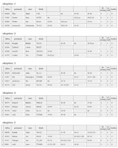 U12 decki 1