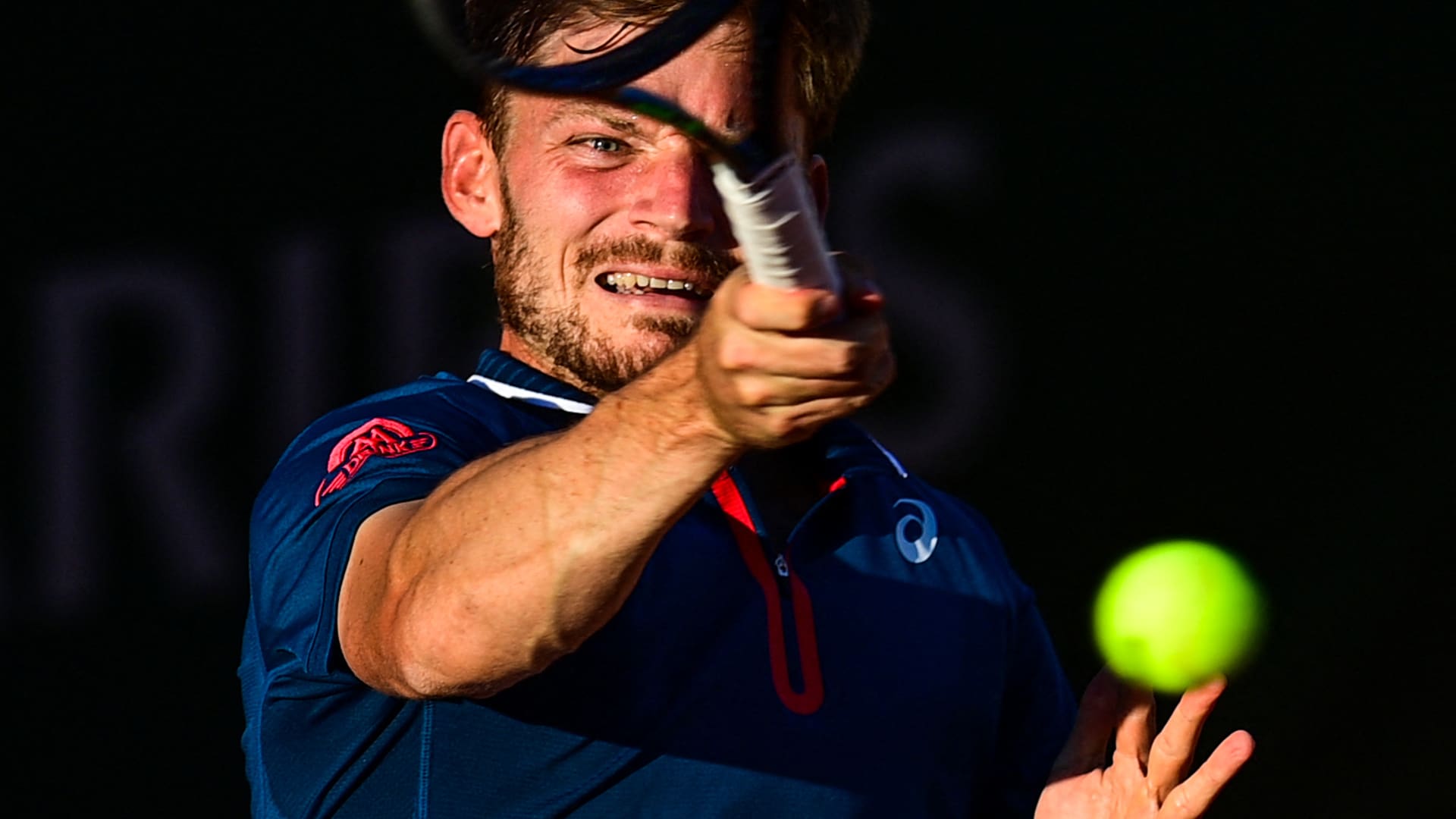 goffin