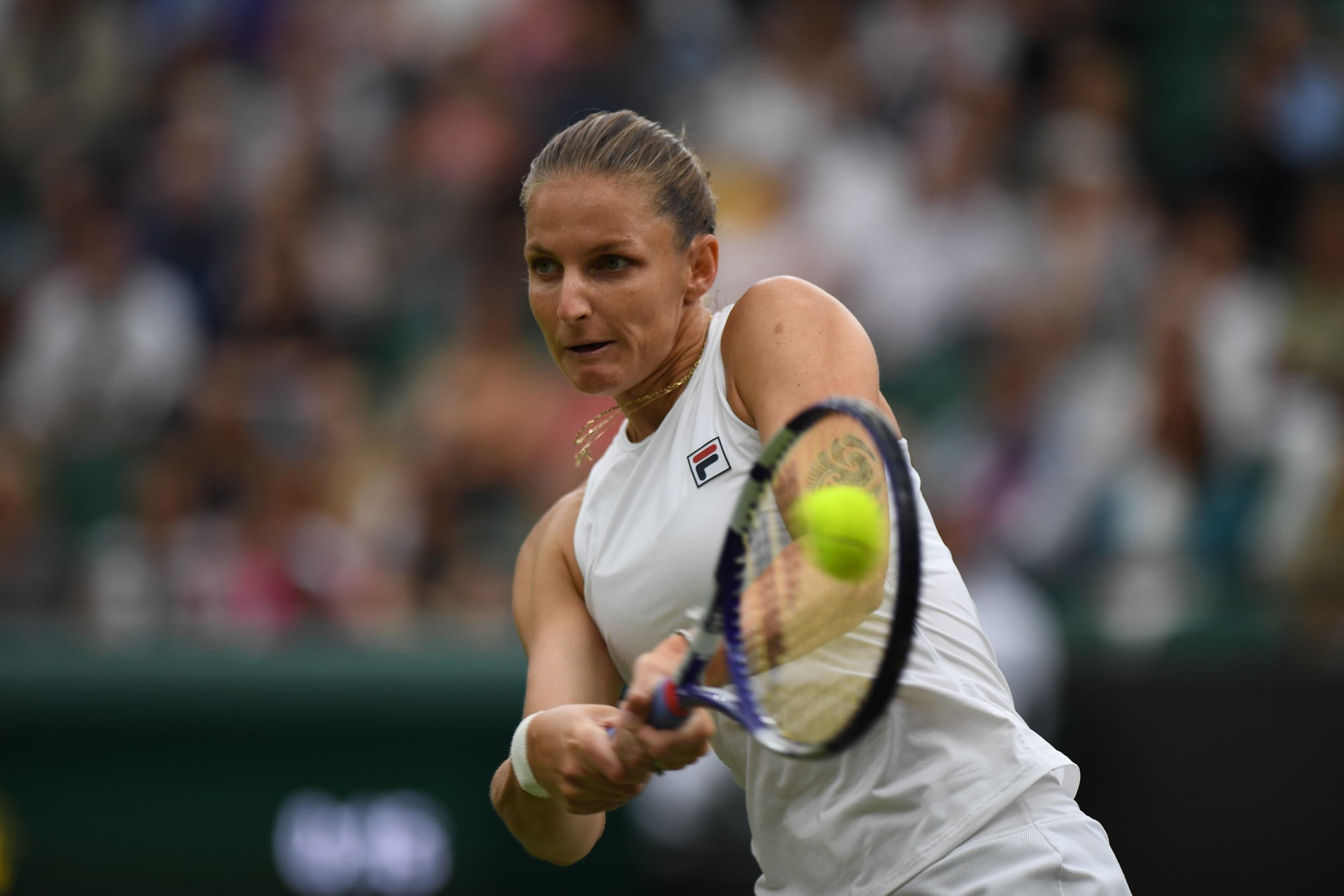 214341176_10158527628983732_7592822996699110480_n